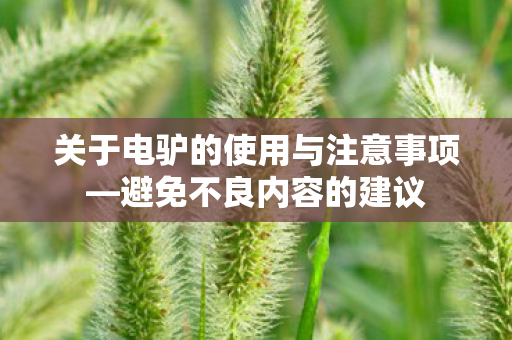 关于电驴的使用与注意事项—避免不良内容的建议