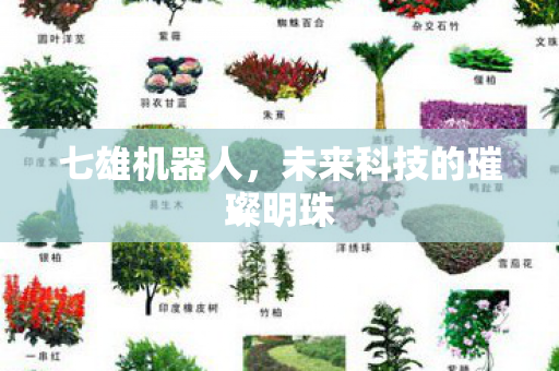七雄机器人，未来科技的璀璨明珠