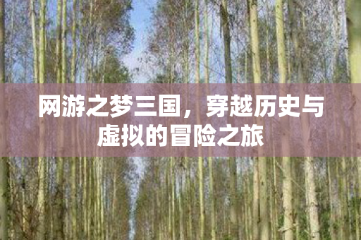 网游之梦三国，穿越历史与虚拟的冒险之旅