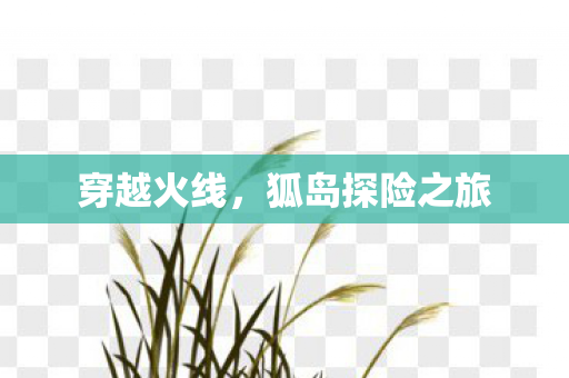 穿越火线，狐岛探险之旅