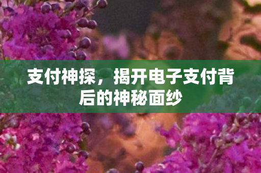 支付神探，揭开电子支付背后的神秘面纱