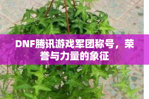 DNF腾讯游戏军团称号，荣誉与力量的象征