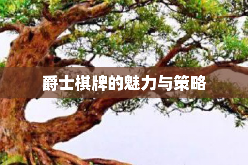 爵士棋牌的魅力与策略