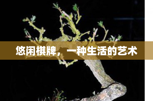 悠闲棋牌，一种生活的艺术