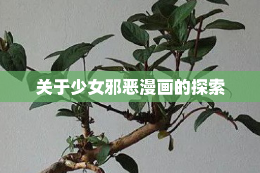 关于少女邪恶漫画的探索