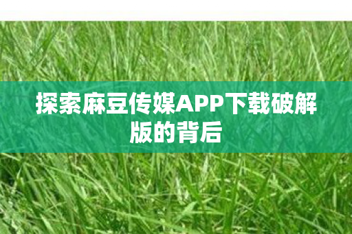 探索麻豆传媒APP下载破解版的背后