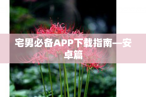 宅男必备APP下载指南—安卓篇
