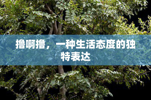 撸啊撸，一种生活态度的独特表达