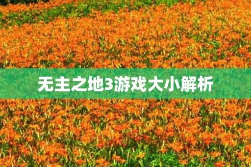 无主之地3游戏大小解析