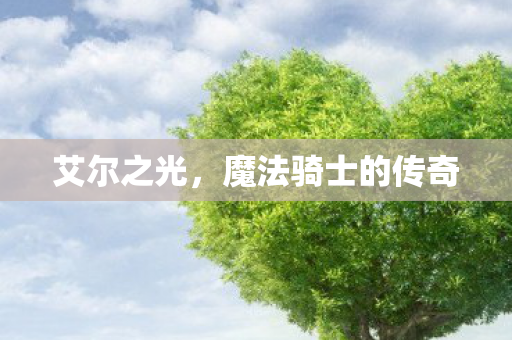 艾尔之光，魔法骑士的传奇