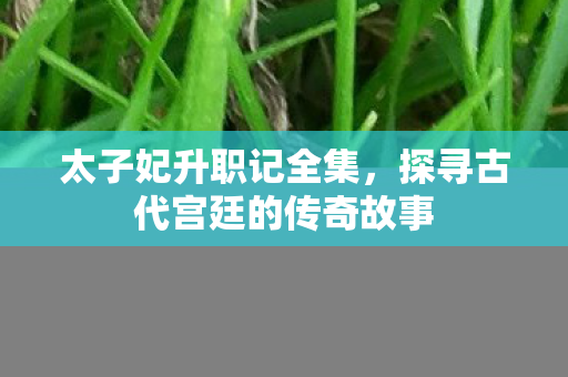 太子妃升职记全集，探寻古代宫廷的传奇故事