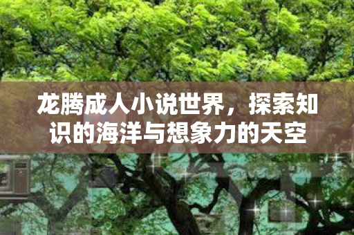 龙腾成人小说世界，探索知识的海洋与想象力的天空