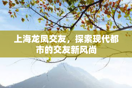 上海龙凤交友,探索现代都市的交友新风尚 上海龙凤交友,探索现代都市的交友新风尚