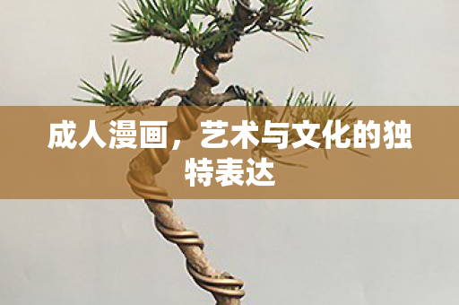 成人漫画，艺术与文化的独特表达