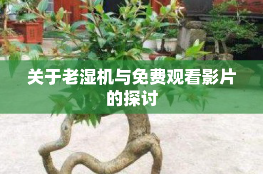 关于老湿机与免费观看影片的探讨