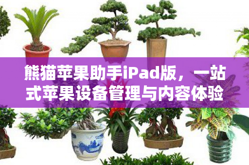 熊猫苹果助手iPad版，一站式苹果设备管理与内容体验平台