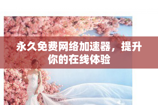 永久免费网络加速器，提升你的在线体验