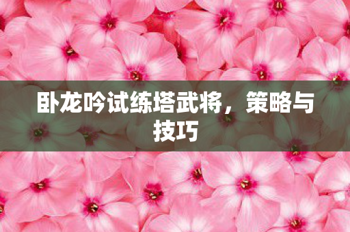 卧龙吟试练塔武将，策略与技巧