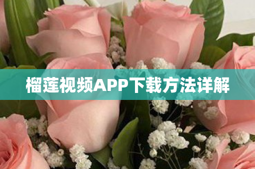 榴莲视频APP下载方法详解