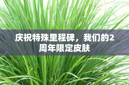 庆祝特殊里程碑，我们的2周年限定皮肤
