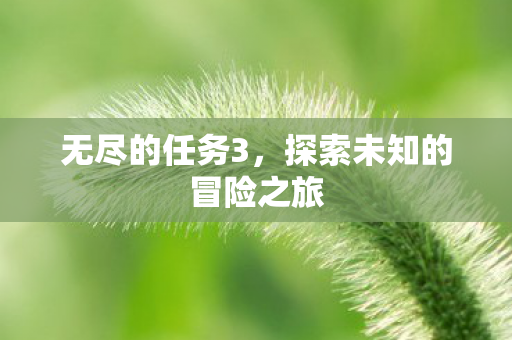 无尽的任务3，探索未知的冒险之旅