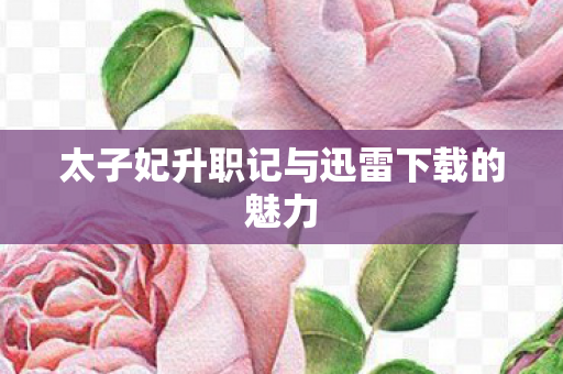 太子妃升职记与迅雷下载的魅力