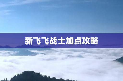 新飞飞战士加点攻略