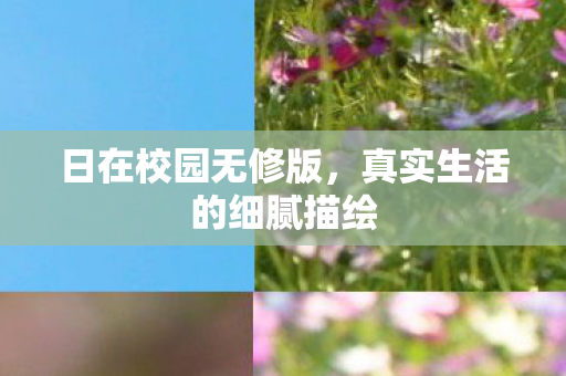 日在校园无修版，真实生活的细腻描绘