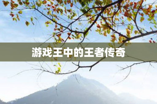 游戏王中的王者传奇