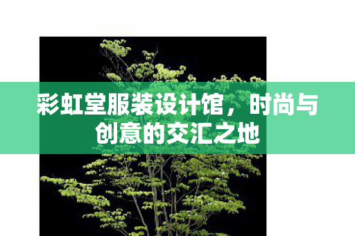彩虹堂服装设计馆，时尚与创意的交汇之地