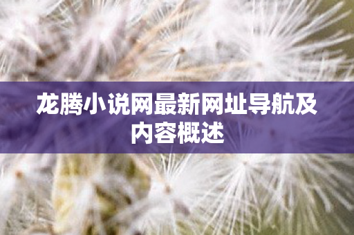 龙腾小说网最新网址导航及内容概述