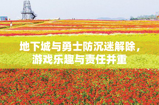 地下城与勇士防沉迷解除，游戏乐趣与责任并重