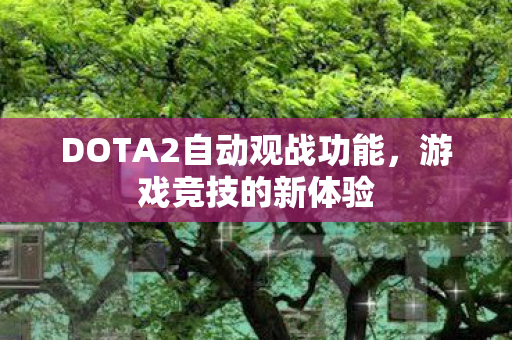DOTA2自动观战功能，游戏竞技的新体验