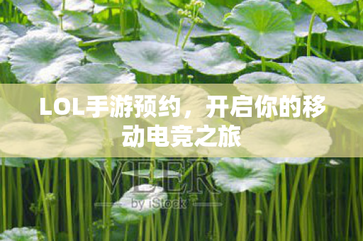 LOL手游预约,开启你的移动电竞之旅