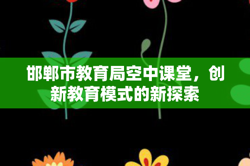 邯郸市教育局空中课堂,创新教育模式的新探索