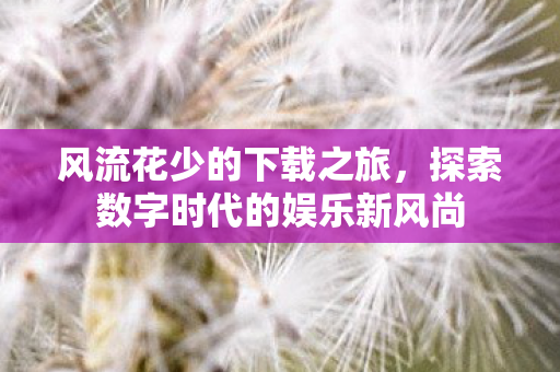 风流花少的下载之旅，探索数字时代的娱乐新风尚