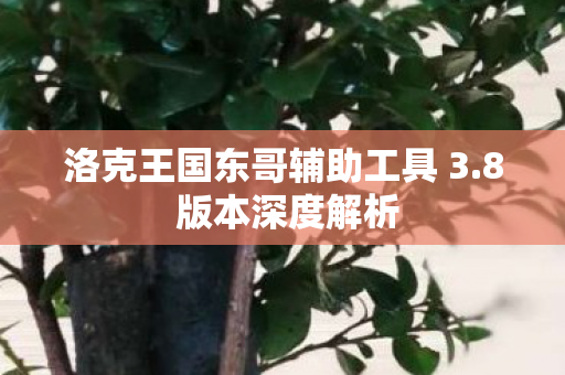 洛克王国东哥辅助工具 3.8 版本深度解析