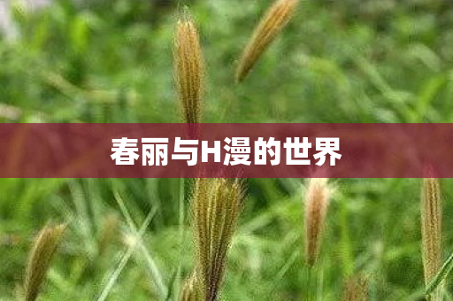 春丽与H漫的世界
