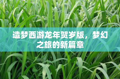 造梦西游龙年贺岁版，梦幻之旅的新篇章
