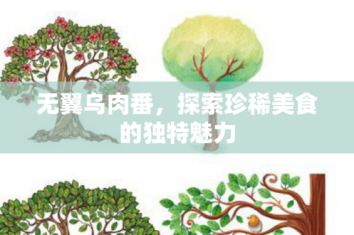无翼乌肉番，探索珍稀美食的独特魅力
