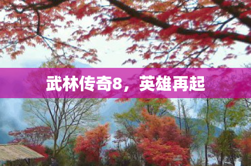 武林传奇8,英雄再起 武林传奇8,英雄再起