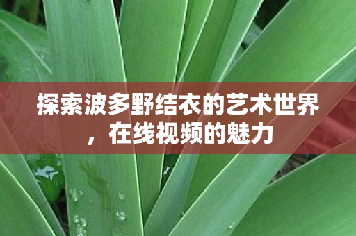 探索波多野结衣的艺术世界，在线视频的魅力