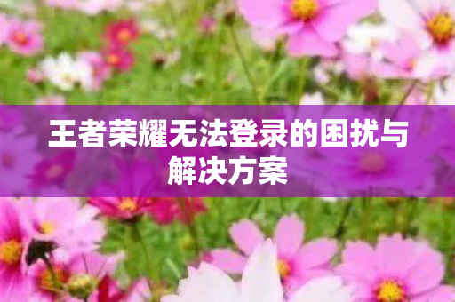 王者荣耀无法登录的困扰与解决方案