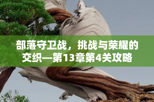 部落守卫战，挑战与荣耀的交织—第13章第4关攻略
