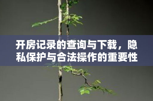 开房记录的查询与下载，隐私保护与合法操作的重要性