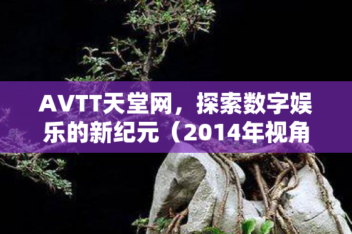 AVTT天堂网，探索数字娱乐的新纪元（2014年视角）