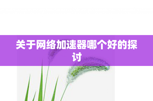 关于网络加速器哪个好的探讨 关于网络加速器哪个好的探讨
