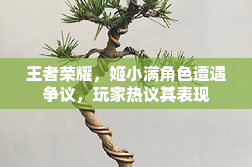 王者荣耀,姬小满角色遭遇争议,玩家热议其表现