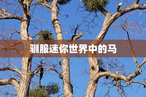 驯服迷你世界中的马