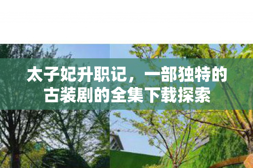 太子妃升职记,一部独特的古装剧的全集下载探索 太子妃升职记,一部独特的古装剧的全集下载探索